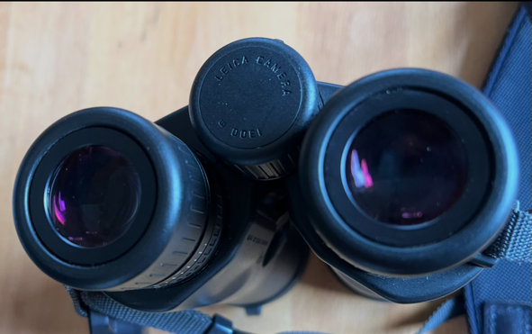 Leica Geovid 8x56 HD - Fernglas mit Entfernungsmesser – Bild 3