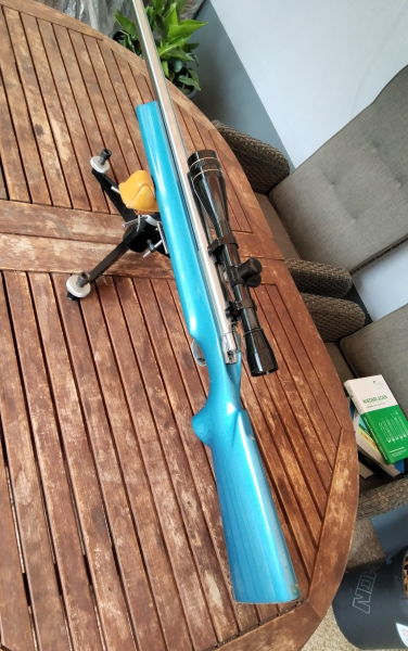 Benshrest Gewehr Kal 6 PPC – slika 3