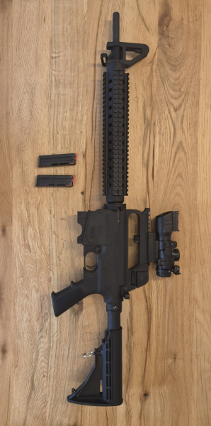 Mossberg 702 Plinkster im Kaliber .22lr in AR 15 Optik – Bild 2