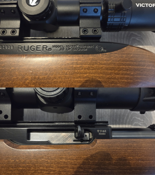 Ruger 10/22 Carbine | .22lfb .22lr | inkl. Optik – Bild 2