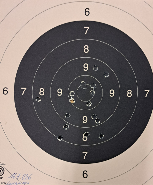 Feuerstutzen 8,15x46 Aydt – снимка 6