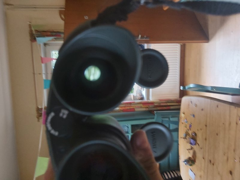 Steiner Nighthunter 8x56 – εικόνα 2