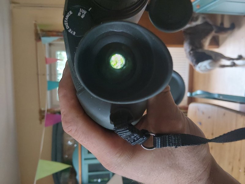 Steiner Nighthunter 8x56 – εικόνα 3