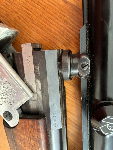 BBF Blaser – Bild 3