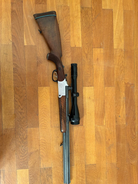 BBF Blaser – Bild 1