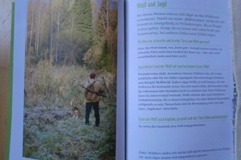 LERNEN MIT DEM WOLF ZU LEBEN – Bild 2