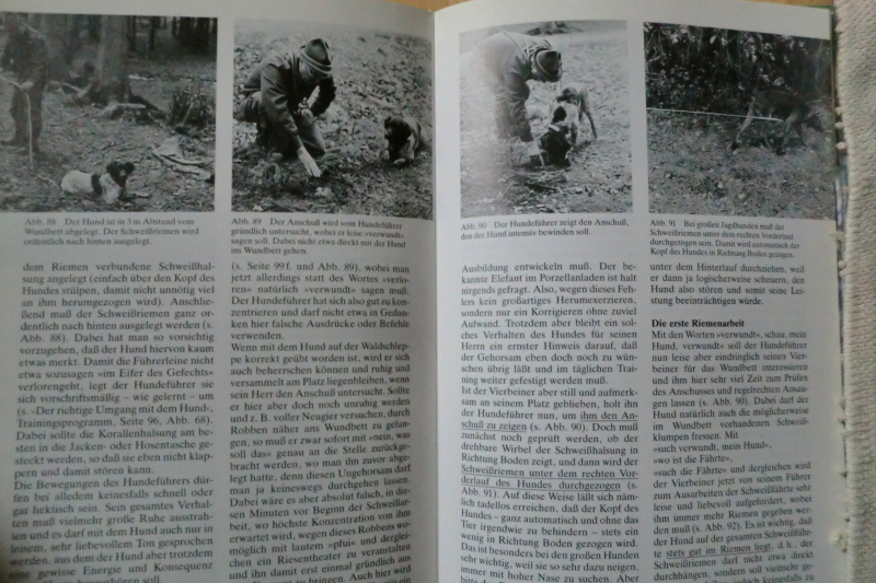 HUNDEAUSBILDUNG FÜR DIE JAGD – Bild 2