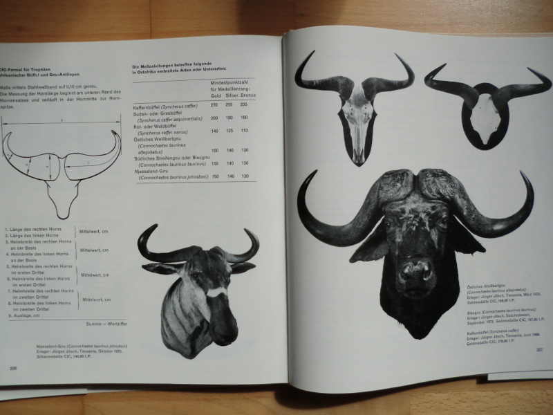 HEGE DER WILDNIS - Naturschutz und Jagd in Ostafrika – Bild 4