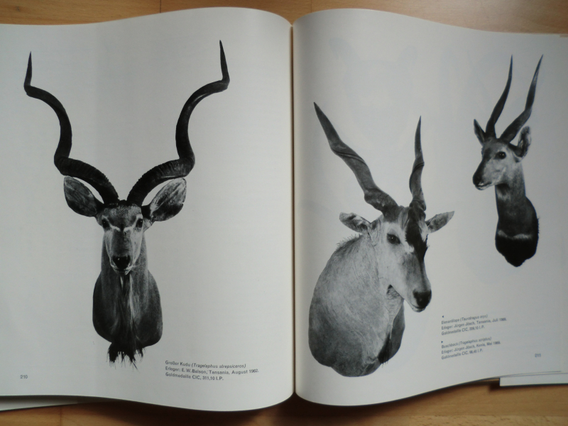 HEGE DER WILDNIS - Naturschutz und Jagd in Ostafrika – Bild 5