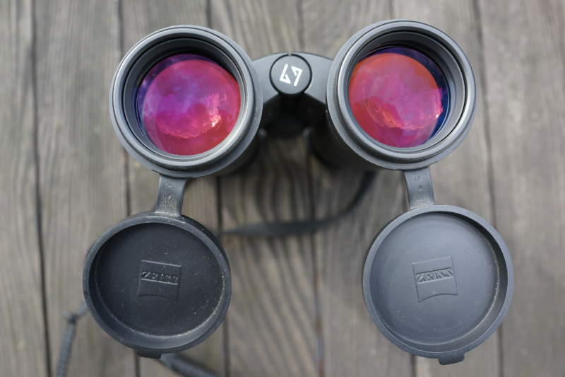ZEISS VICTORY FL 8x42 Fernglas - TOP Optik - sehr guter Zustand - Tasche - Zub. – Bild 4