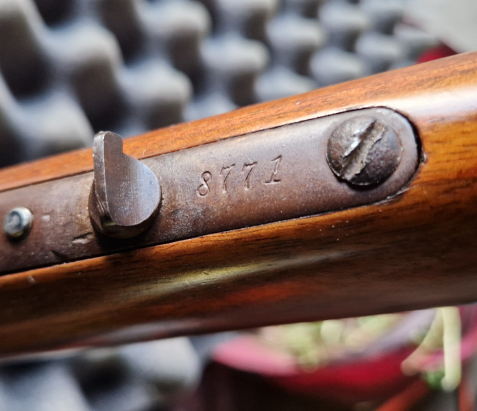 Winchester '76, Kal. .50-95 – Bild 2