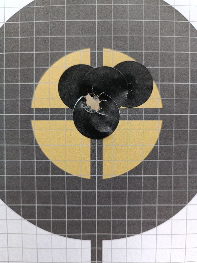 Blaser R8 Professional - 8x57 IS + Aimpoint Micro H2 + Sattelmontage – Bild 6