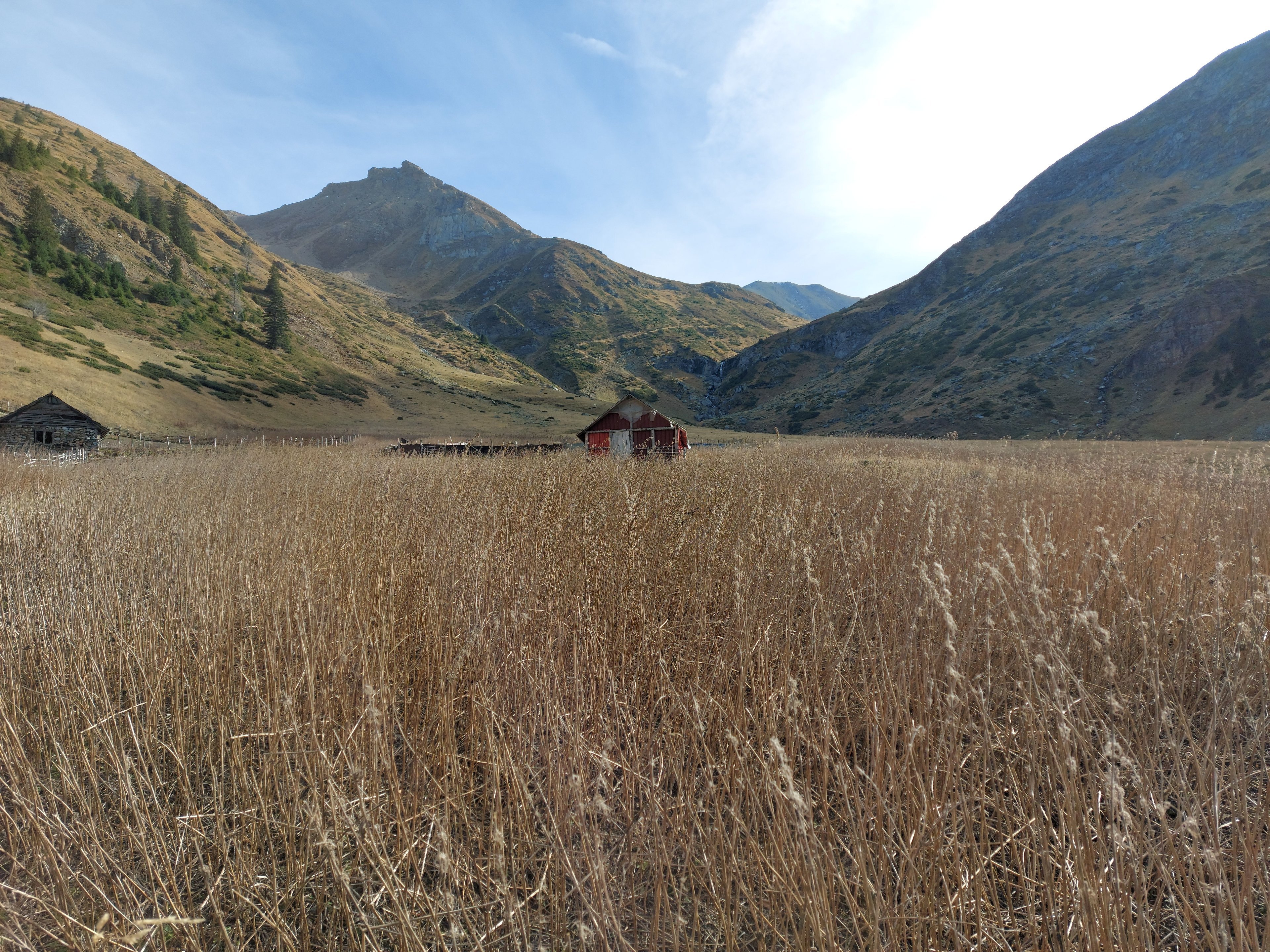 Testauktion 4K – Bild 1