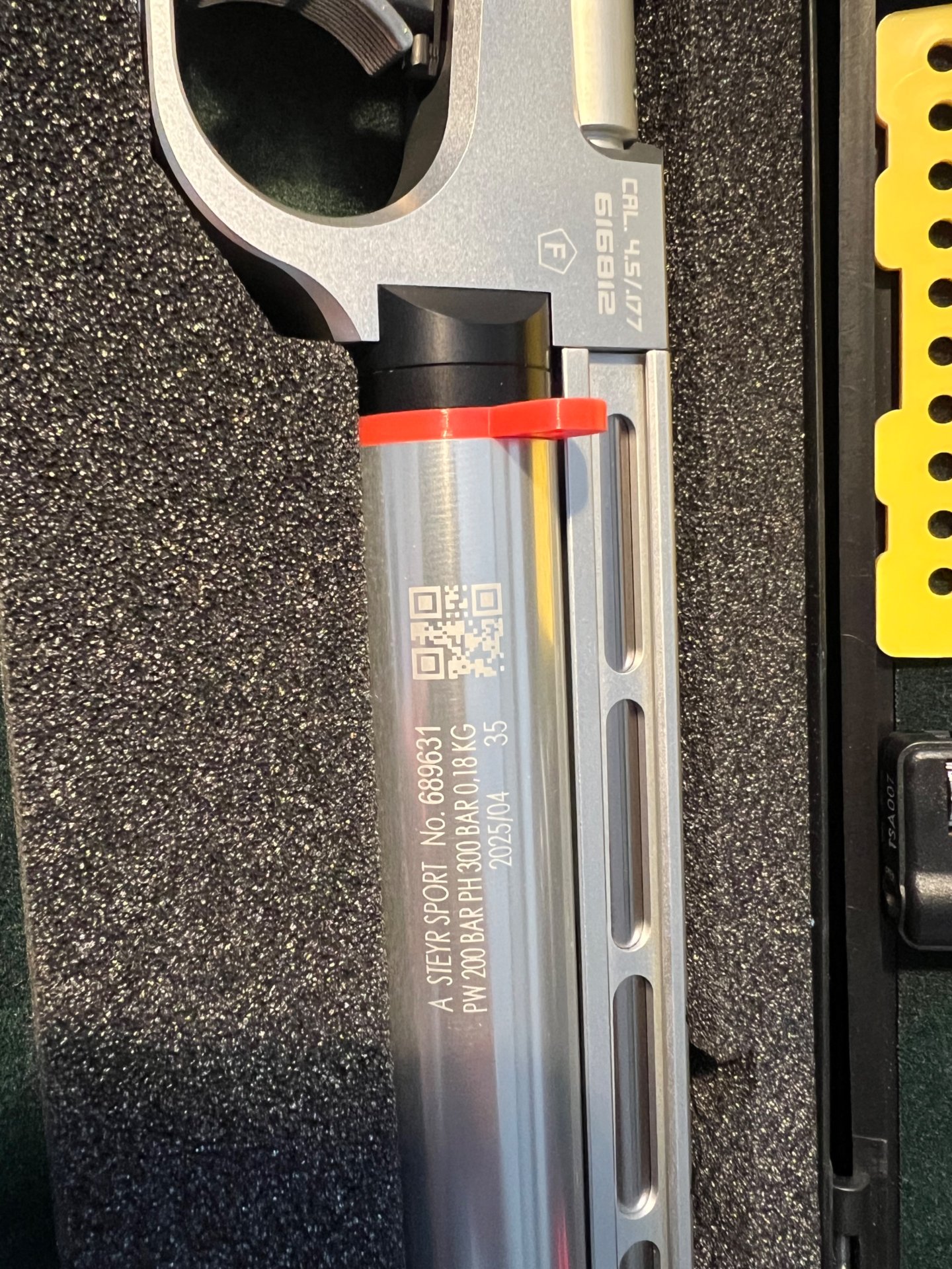 Steyr EVO 10 E Silber – Top Zustand – Griff L rechts + 2,7L Flasche – Bild 2