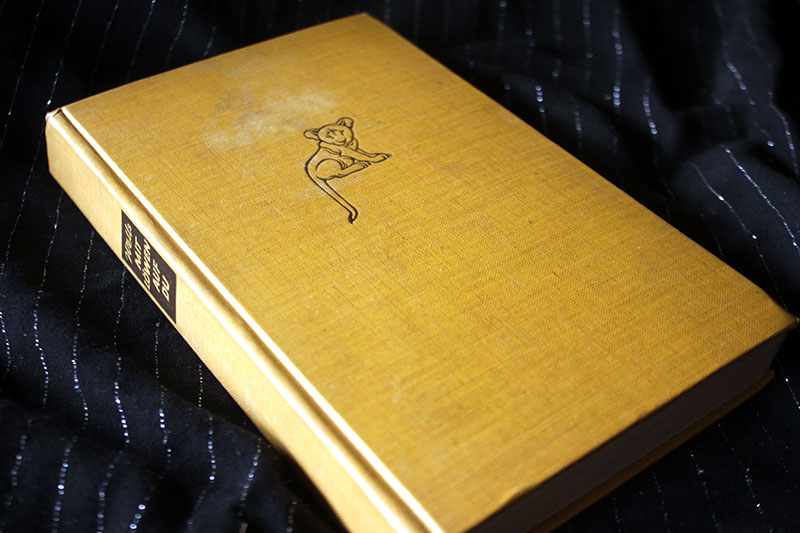 Mit Löwen auf du - Eric F. V. Wells Buch aus 1935 – Bild 1