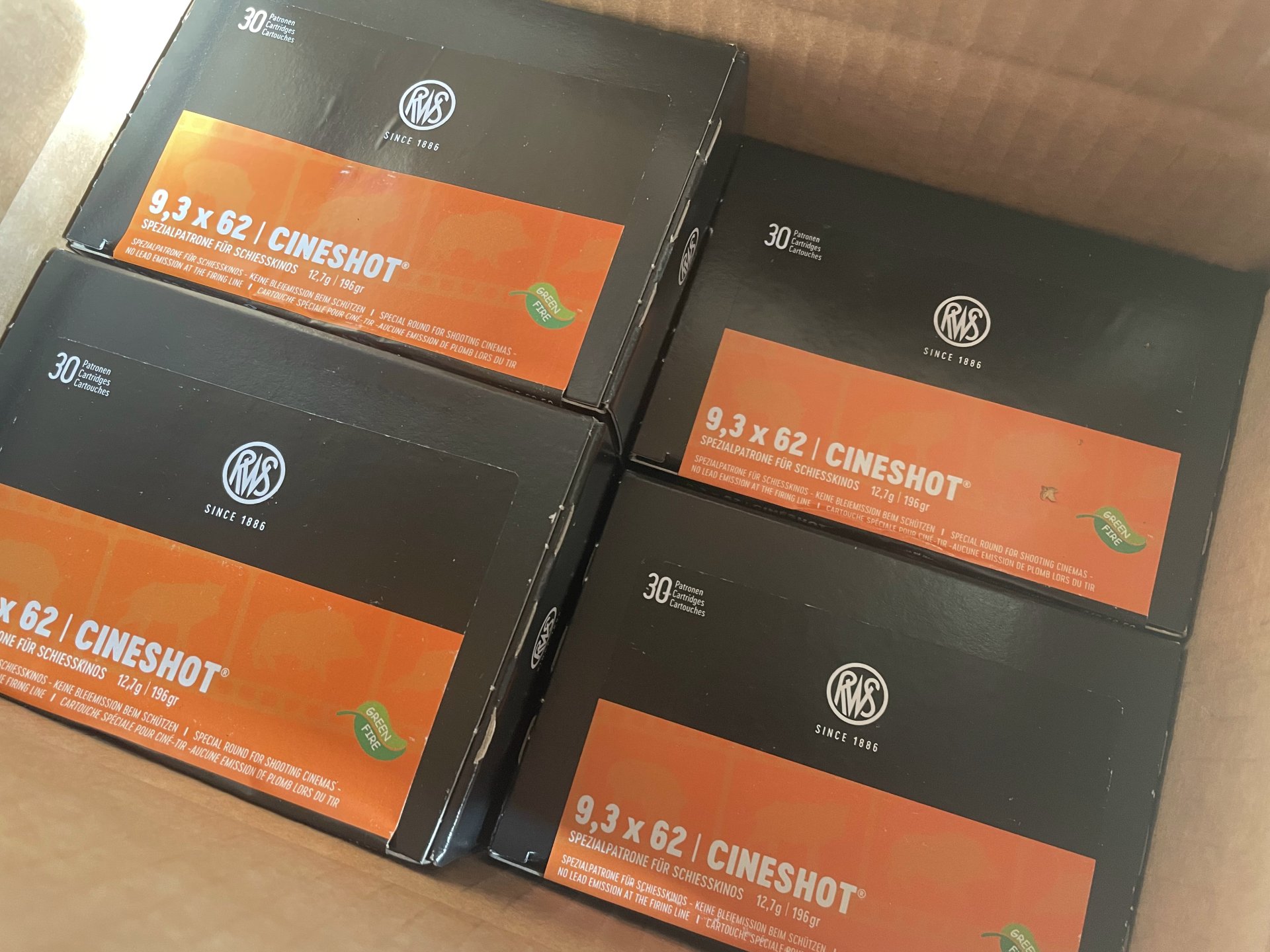 RWS 9,3x62 CINESHOT 12,7g/196gr - 315 Übungspatronen – Bild 2