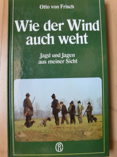 WIE DER WIND AUCH WEHT – Bild 1