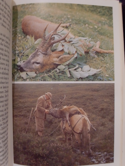 UNTERWEGS IN SACHEN JAGD – Bild 2