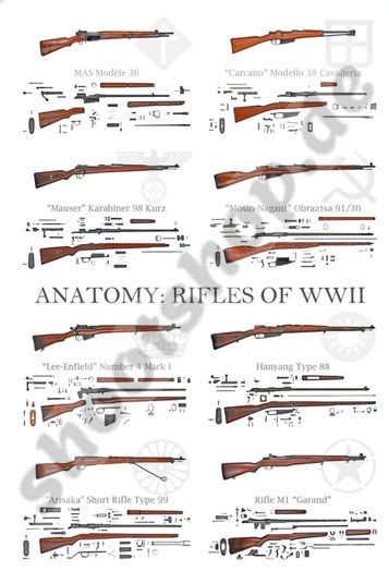 Poster " Anatomy : Rifles of WWII" – Bild 1