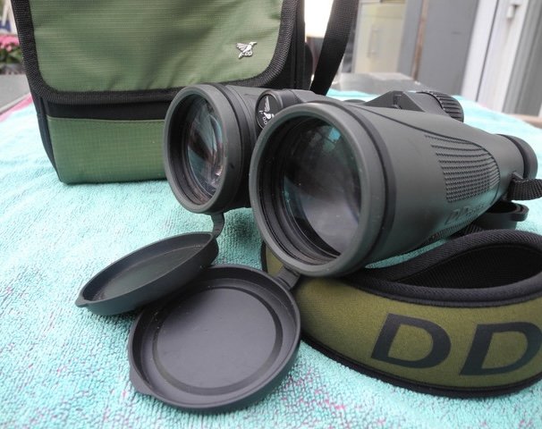 DD Optics Pirschler 3 10x56 Fernglas – Bild 3