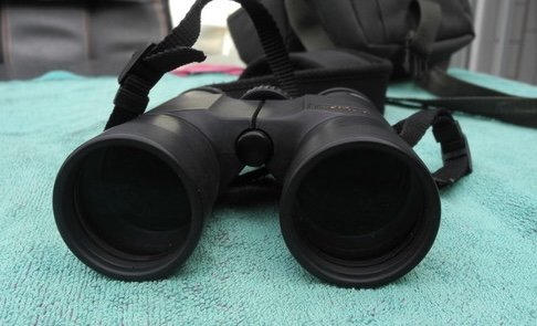 Kite Optics Pallas Fernglas 10x42 – Bild 2