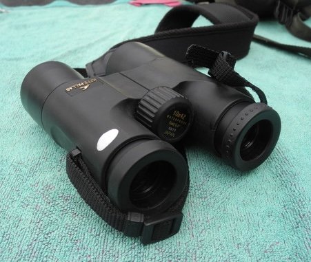Kite Optics Pallas Fernglas 10x42 – Bild 4