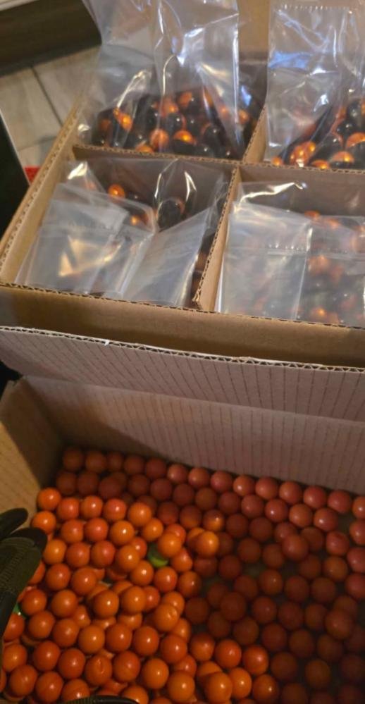 Verkaufe ein Paintball Komplettangebot – Bild 1