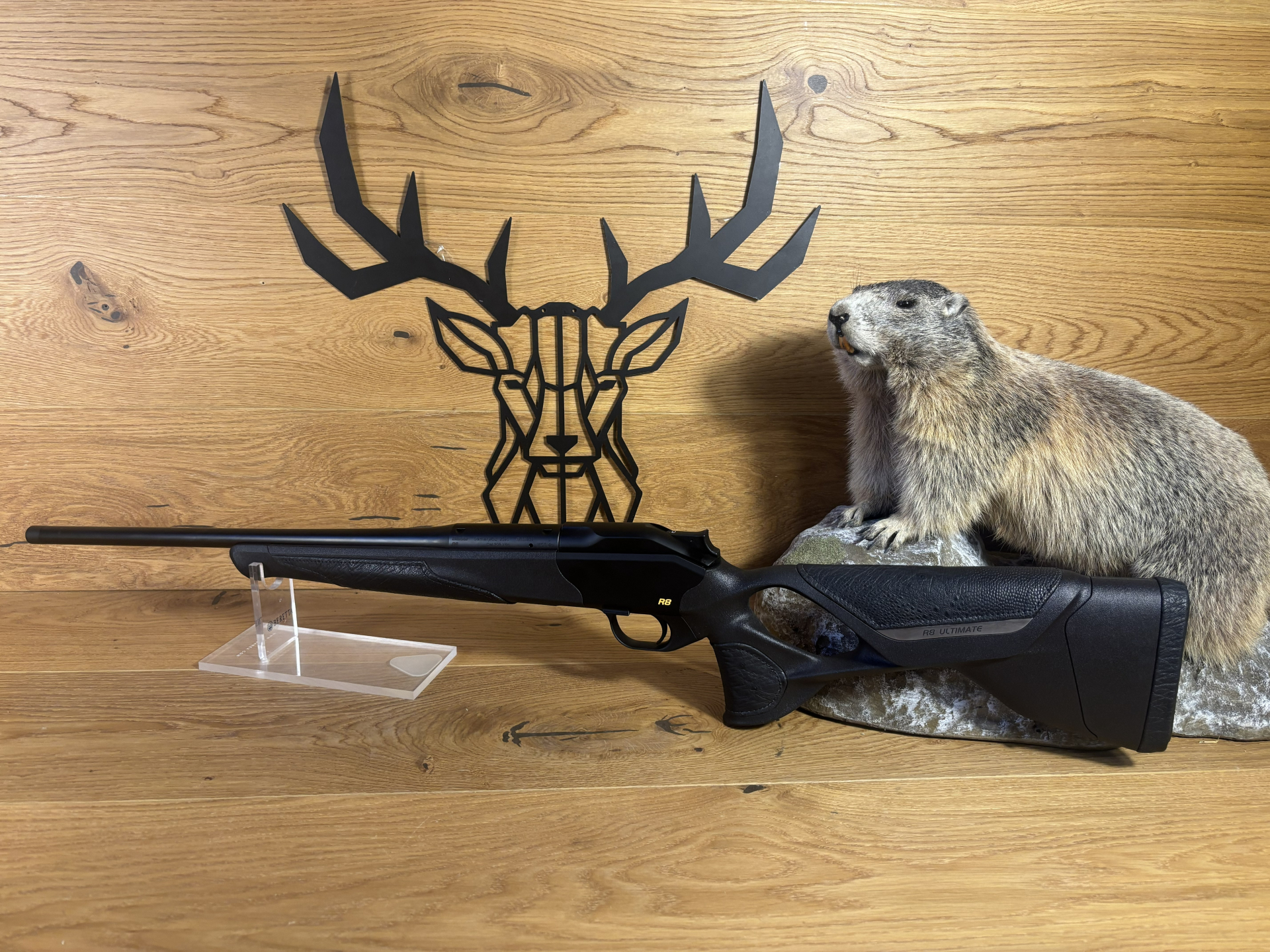 Blaser R8 Ultimate Custom Strauß Leder .308Win - 52cm - M15x1- - Waffen Schlemmer Ingolstadt – Bild 1