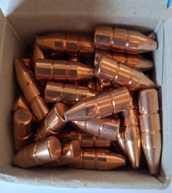 .30/.308 RWS Doppelkern 165 gr – Bild 2
