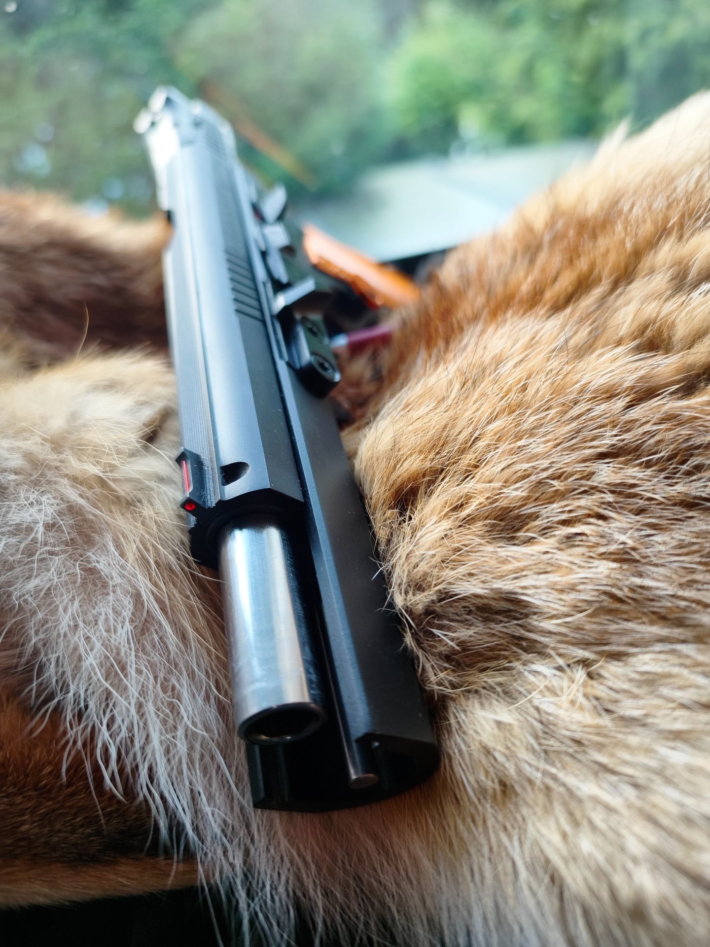 Ceska CZ 75 TS Orange – Bild 2