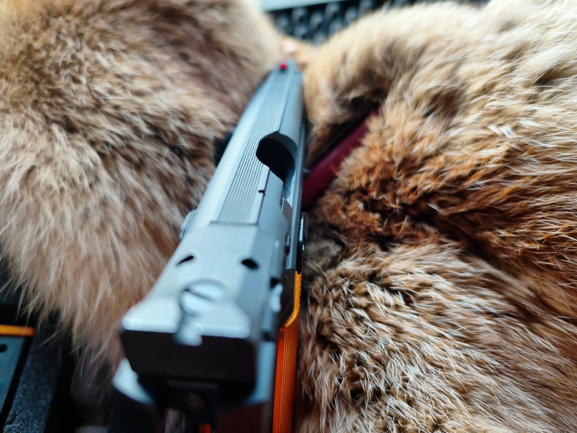 Ceska CZ 75 TS Orange – Bild 6
