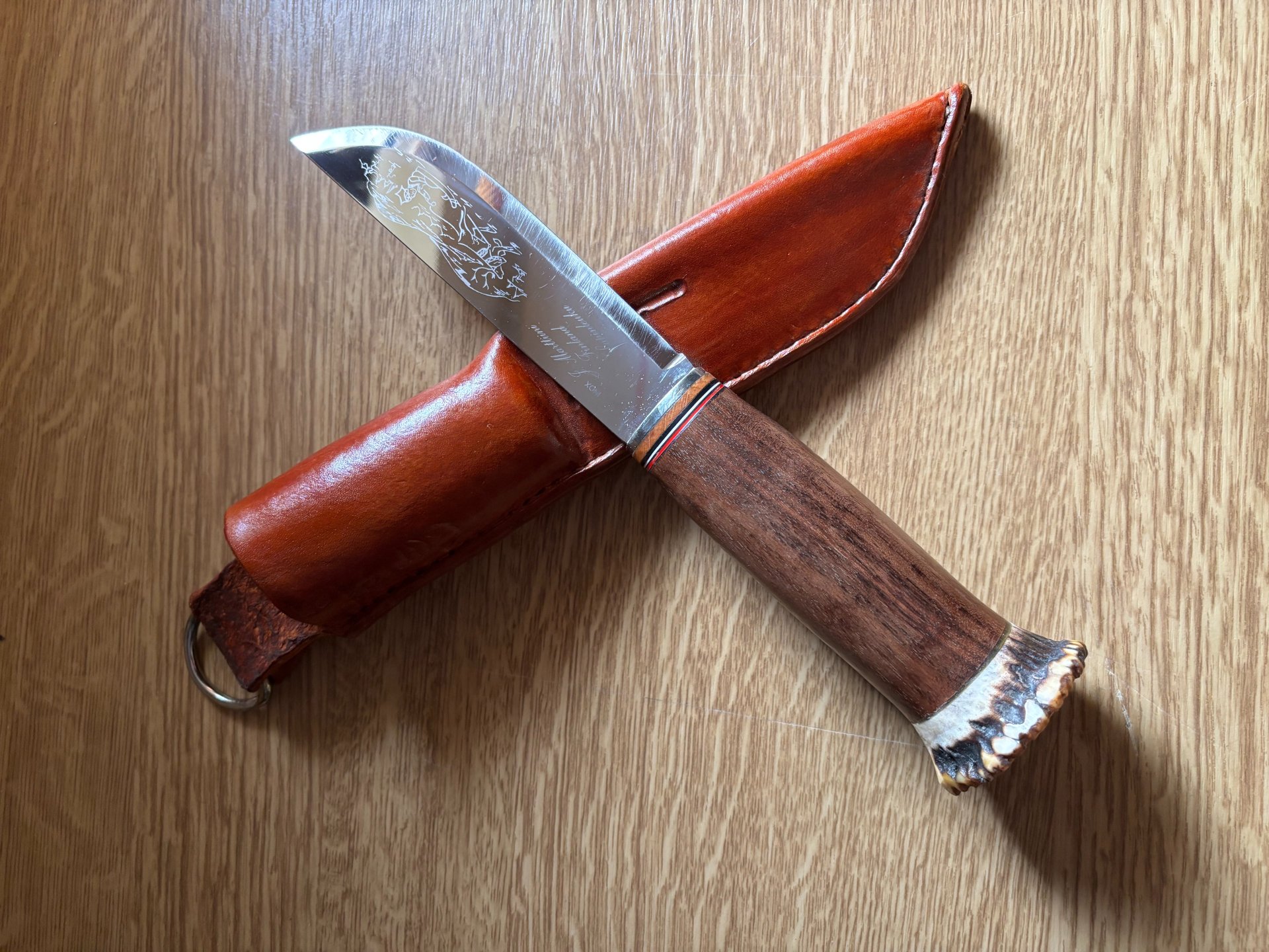 LapinLeuku – Bild 2
