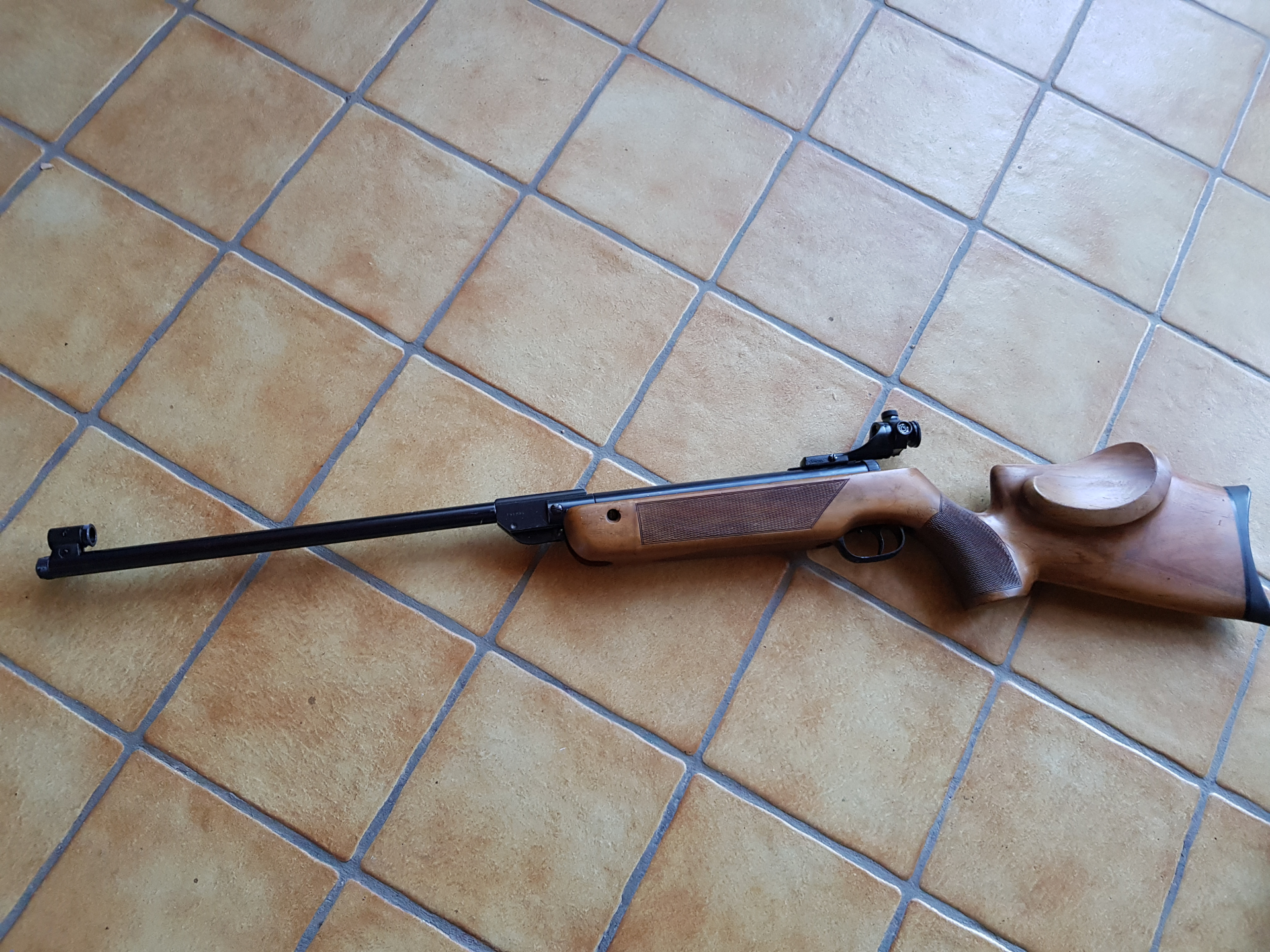 Walther LG 55 Tirolerschaft – Bild 1