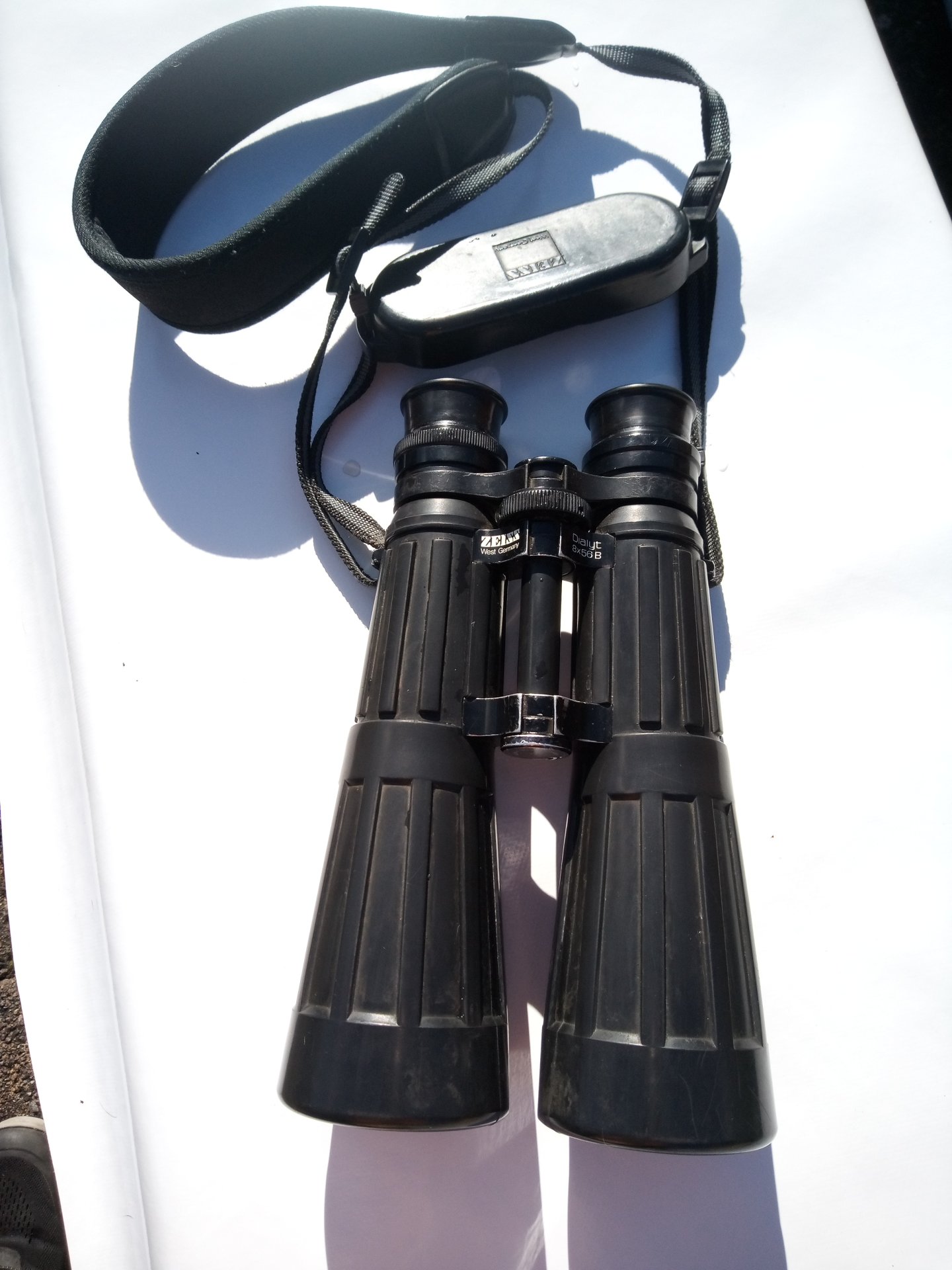 Zeiss Dialyt 8 x 56B GA t* mit Werksprüfung – Bild 2