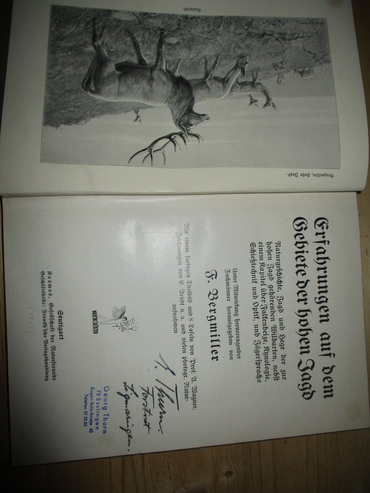Bergmiller : Buch : die hohe Jagd – Bild 1