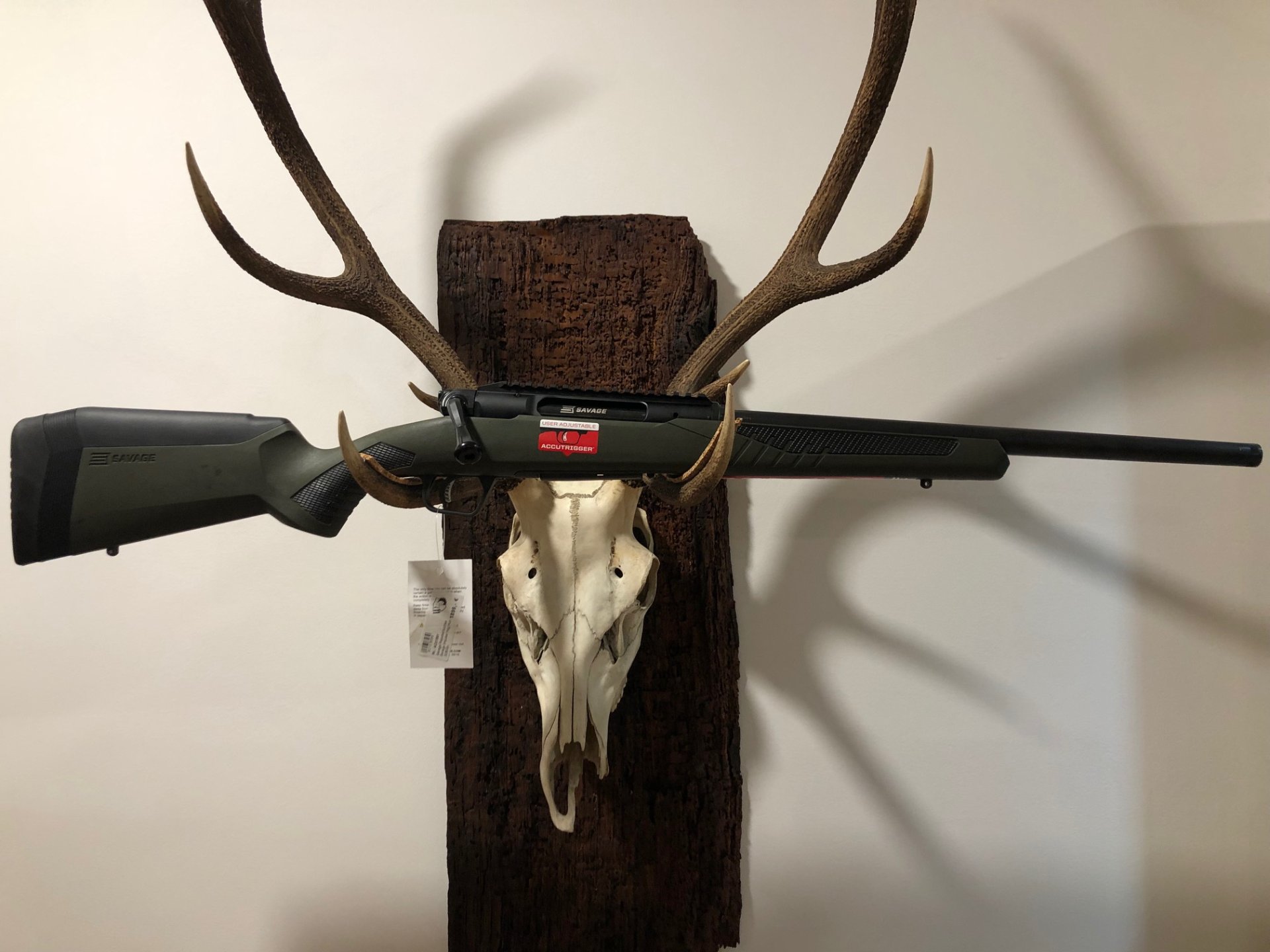 Savage Impulse Hog Hunter, Kal.308, Neu u. sofort lieferbar v. Willenbach GmbH – Bild 1