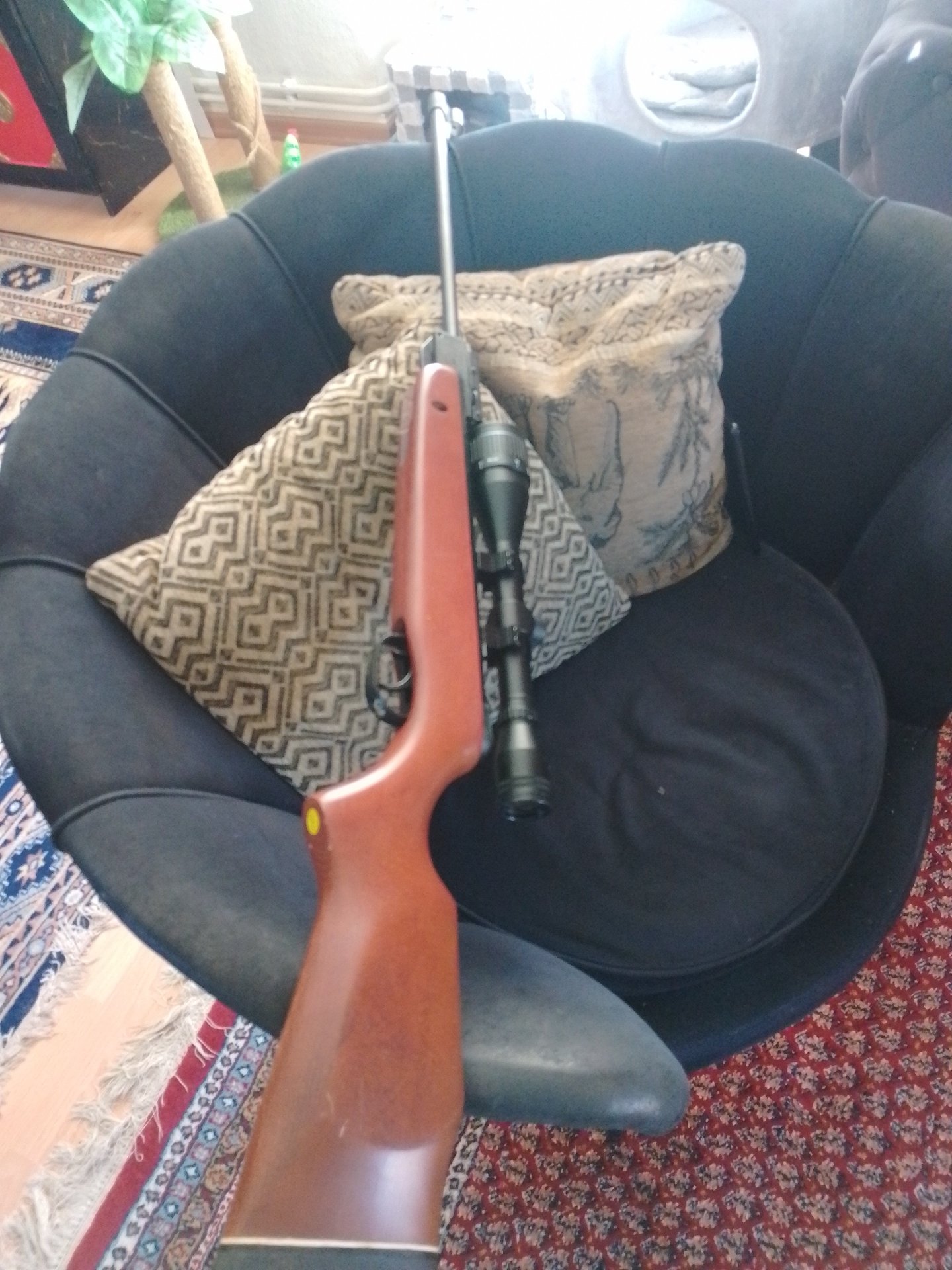 Luftgewehr Modell Gamo600 Senior mit Walther Zielfernrohr – Bild 1