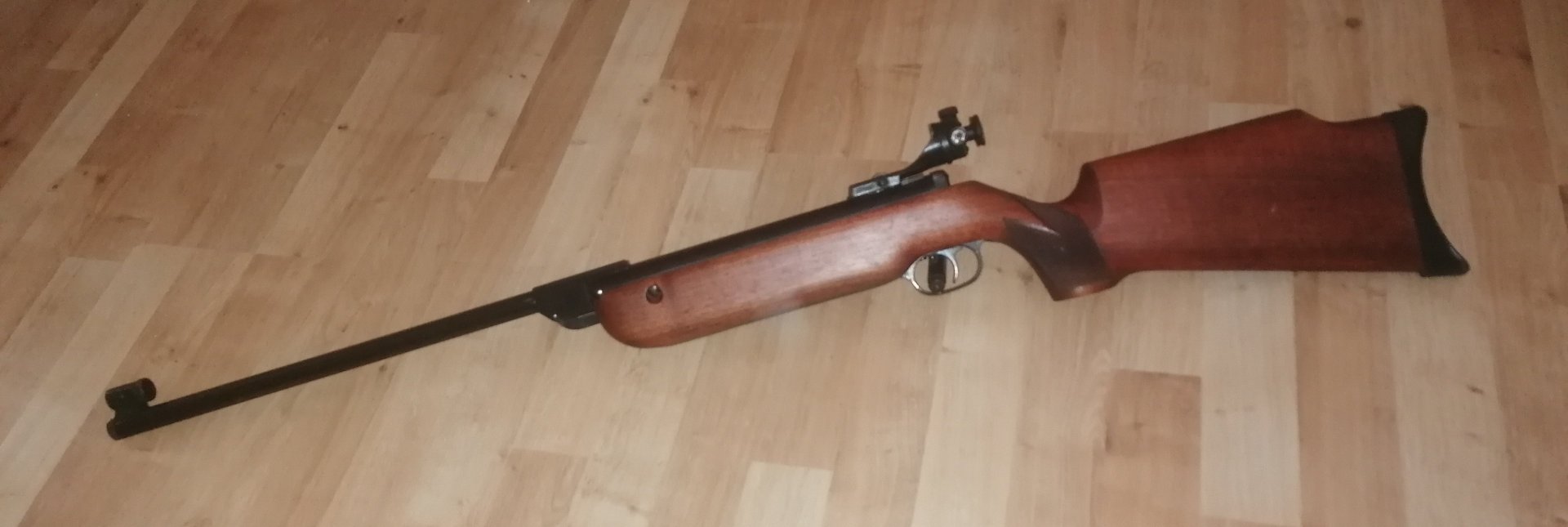 Walther LG55 – Bild 1