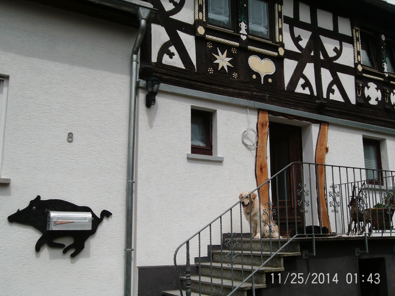 Jagen im Westerwald inc. 1 Übernachtung Fewo – image 2