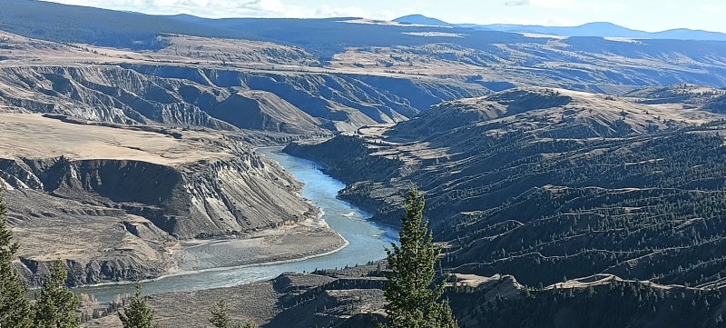 Jagd auf brave Maultierhirsche zur Brunft in BC/Kanada – Bild 3