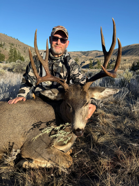 Jagd auf brave Maultierhirsche zur Brunft in BC/Kanada – Bild 2