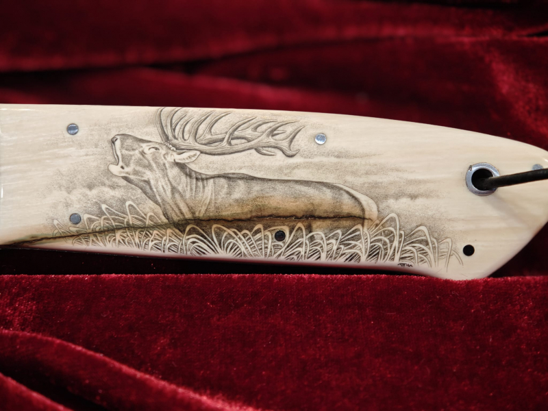DNC "Danton" – RWL34 | Scrimshaw Rothirsch | Exklusives Jagdmesser | Mammutelfenbein | Sammlermesser – Bild 2