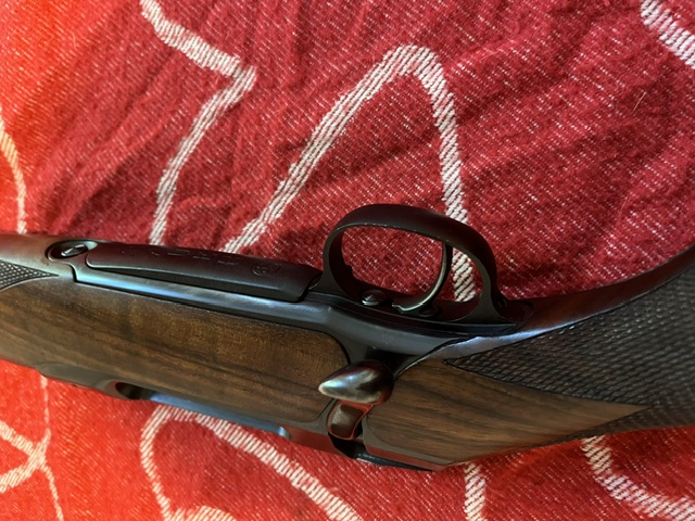 Sauer 202 7x64 Stahlsystem – immagine 2