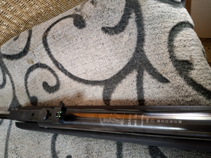 Diana 350 Magnum – Bild 2