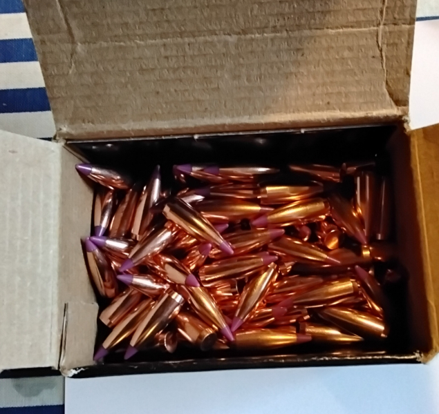 Nosler BALLISTIC TIP .243 Win. – Bild 2