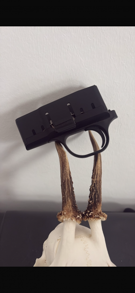Blaser R8 Abzugseinheit Professional 2.0 – Bild 2
