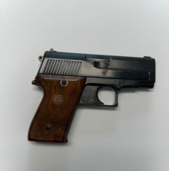 Röhm RG 600 cal.22 Platz – nuotrauka 2