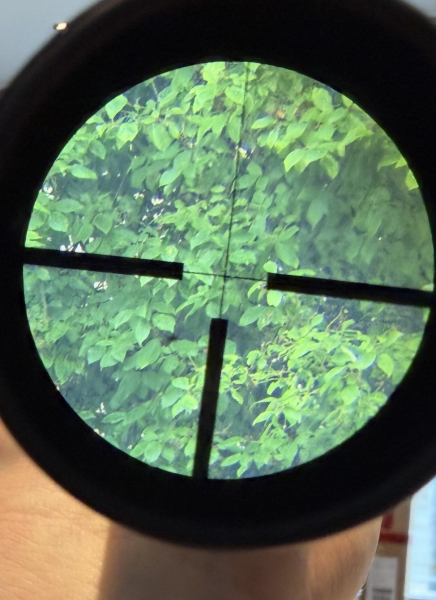 Zeiss Diavari VM 3-12x56 T* mit Leuchtkreuz und original Blaser Sattelmontage – billede 6