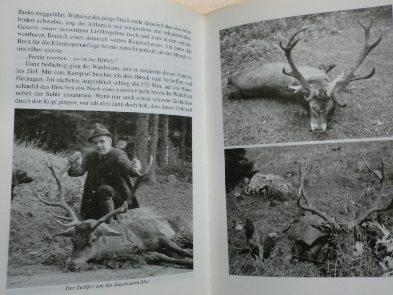 FRISCH AUF DIE JAGD HINAUS – Bild 2