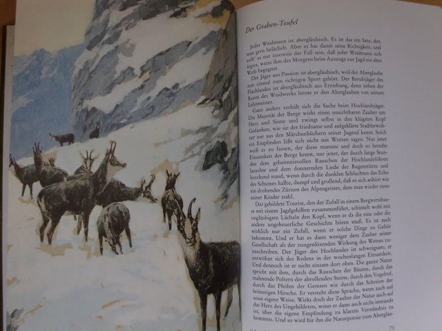 LUDWIG GANGHOFERS JAGDBUCH - Von Wald und Wild, von Jägern und Wilderern – Bild 2